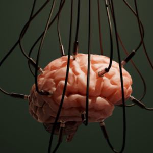 Profile picture for organismo cybernetico