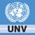 United Nations Volunteers