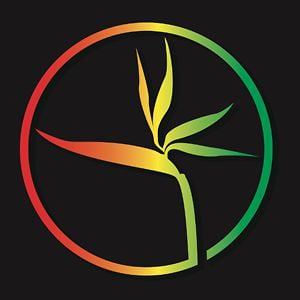 Profile picture for Tim McKenna