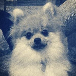 Profile picture for sweetney