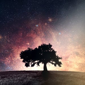 Profile picture for Worldfavor Films