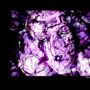 Profile picture for Peter van Til