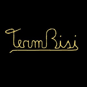 Profile picture for Team Bisi