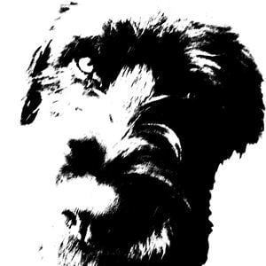 Profile picture for Amarella