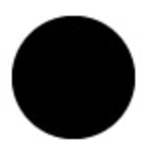 Profile picture for PJ Richardson