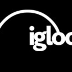 Profile picture for Igloo Vision