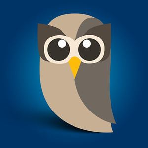 Profile picture for HootSuite