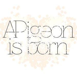 Profile picture for APigeon