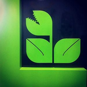 Profile picture for Lush Productions