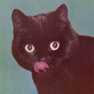 Profile picture for T Bone
