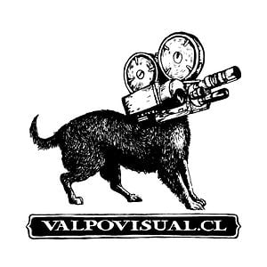 Profile picture for Valpovisual