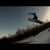 Brandon Falise