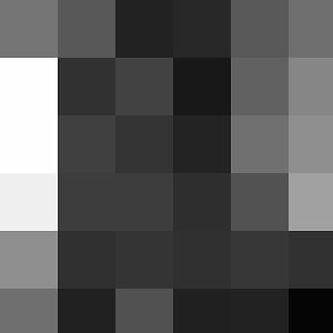 Profile picture for Stephania Dulowski
