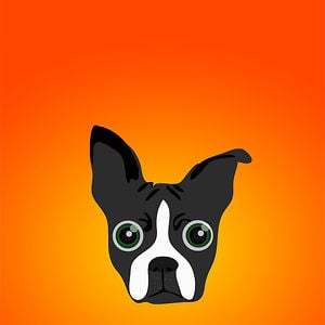 Profile picture for The Pound