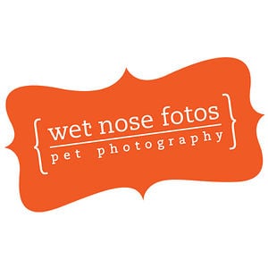 Profile picture for Wet Nose Fotos