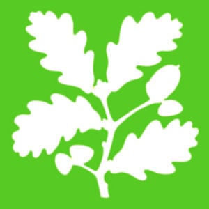 Profile picture for National Trust