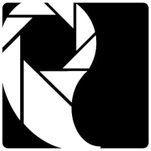 Profile picture for The Paisley