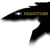 Wolf Productions