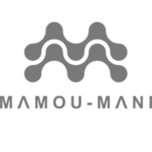 Profile picture for Arthur Mamou-Mani