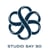 Studio Say So