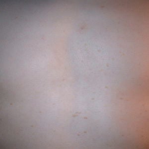 Profile picture for Lothar