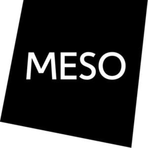 Profile picture for MESO Digital Interiors