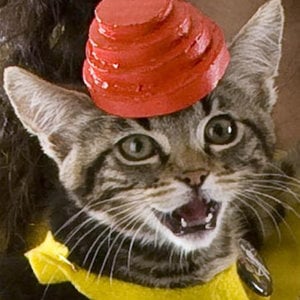 Profile picture for J.R. Uretsky