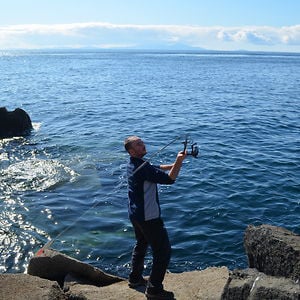 Profile picture for Andrew Dale