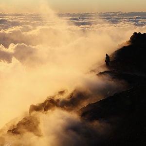 Profile picture for Candide Thovex