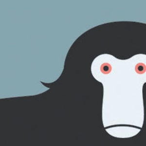 Profile picture for Dave MacLeod