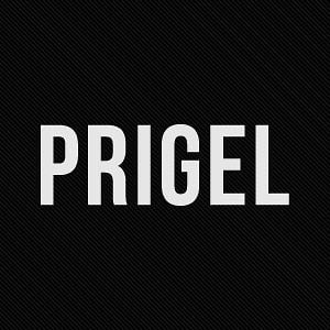 Profile picture for prigel