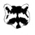 Raccooning Society