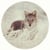 COYOTE FAIRWAY