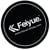 Feiyue