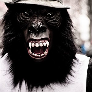 Profile picture for Herr Kaschke