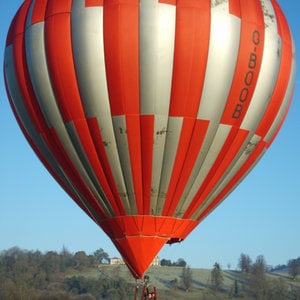 Profile picture for Phil's Balloons