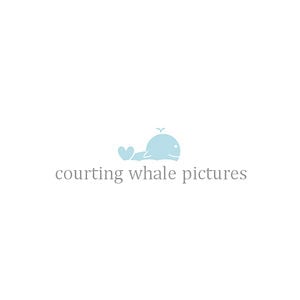 Profile picture for Courting Whale Pictures