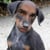 ManDog