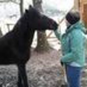 Profile picture for Karissa Wingate