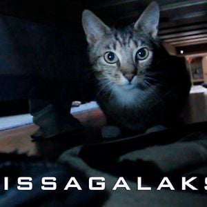 Profile picture for Kissagalaksi
