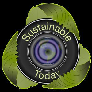 Profile picture for Sustainable Today