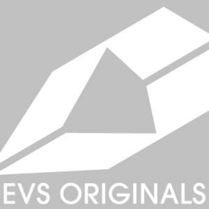 Profile picture for EVS Sports