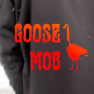 Profile picture for gooseMOB
