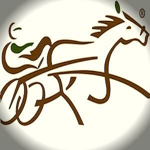 Profile picture for USTA