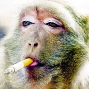 Profile picture for philip vose