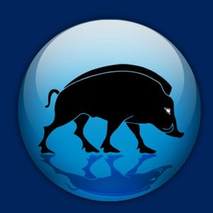 Profile picture for blocidentitaire
