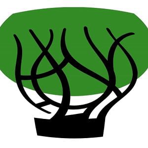 Profile picture for SILVATICA