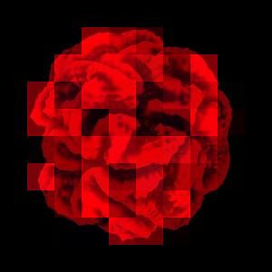 Profile picture for Tree