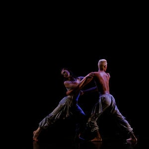 Profile picture for Terminus Contemporary Dance