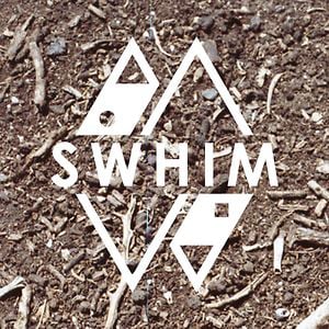 Profile picture for SWHIM